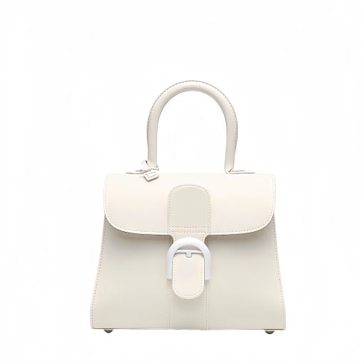 Delvau Snow White Brillant Box Leather Mini Bag