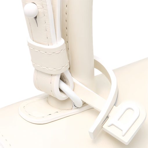 Delvau Snow White Brillant Box Leather Mini Bag - Image 11
